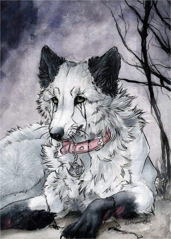 Волки аниме