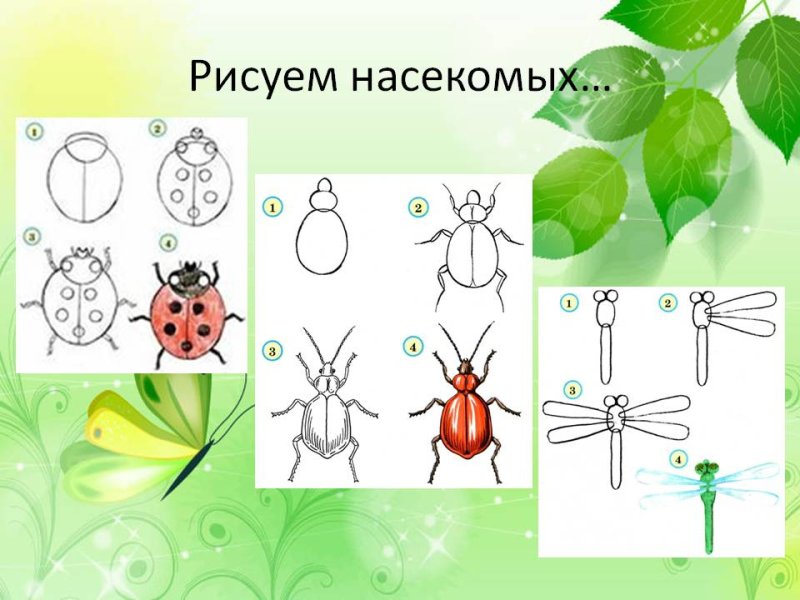 Рисование насекомые пошагово