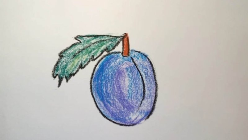 Как нарисовать слива