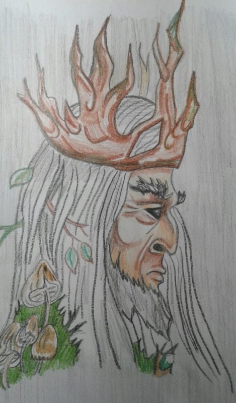Рисунок к балладе Лесной царь
