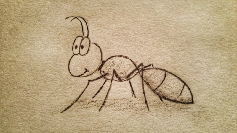 Рисование насекомые