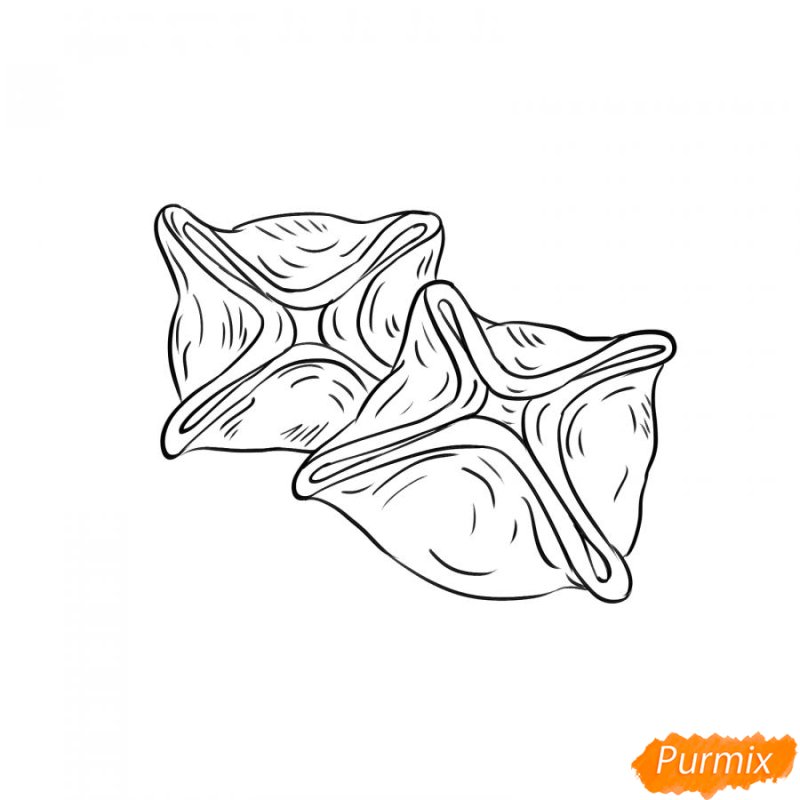 манты рисунок