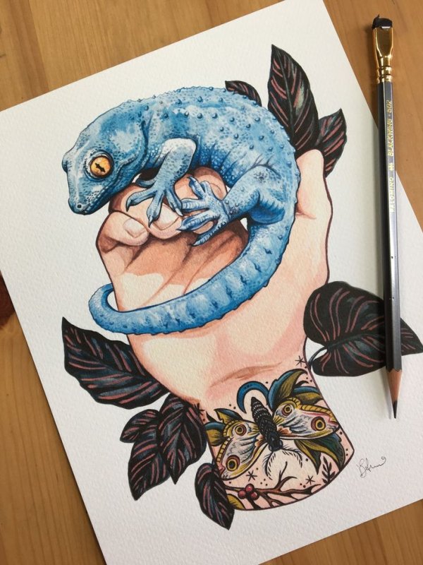 Ящерица рисунок маркерами