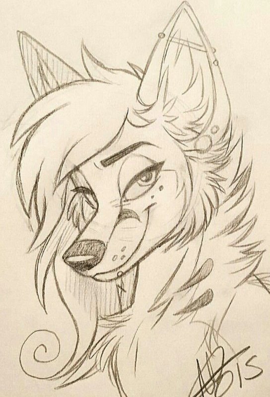 Фурри для срисовки карандашом