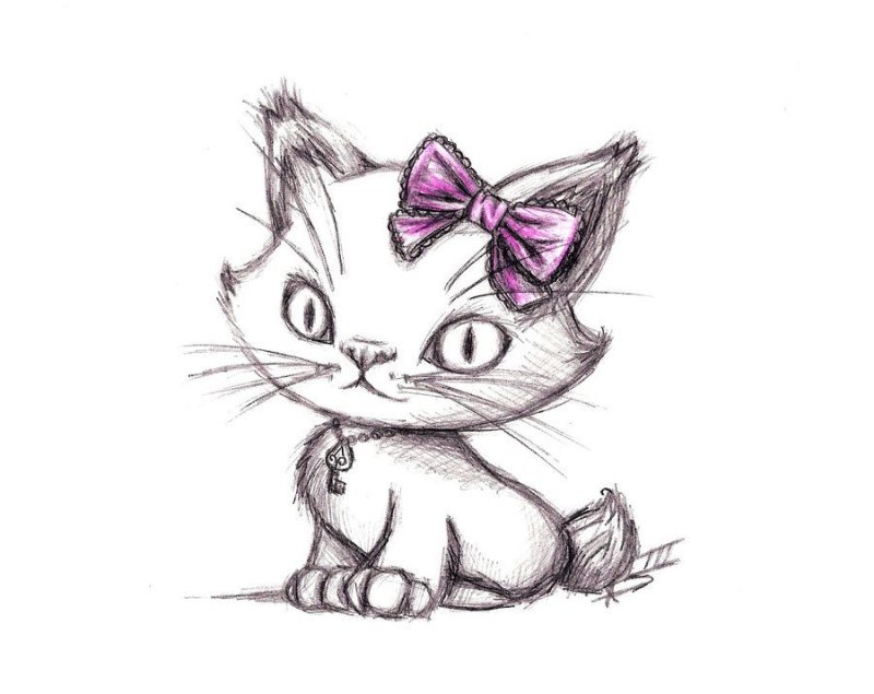 рисунки котят для срисовки