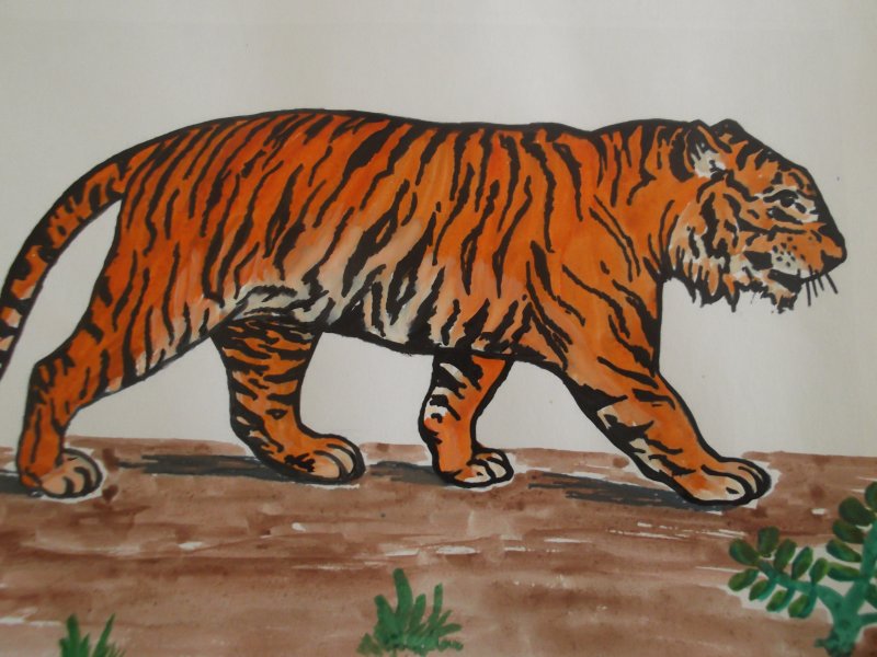 Детский рисунок тигра