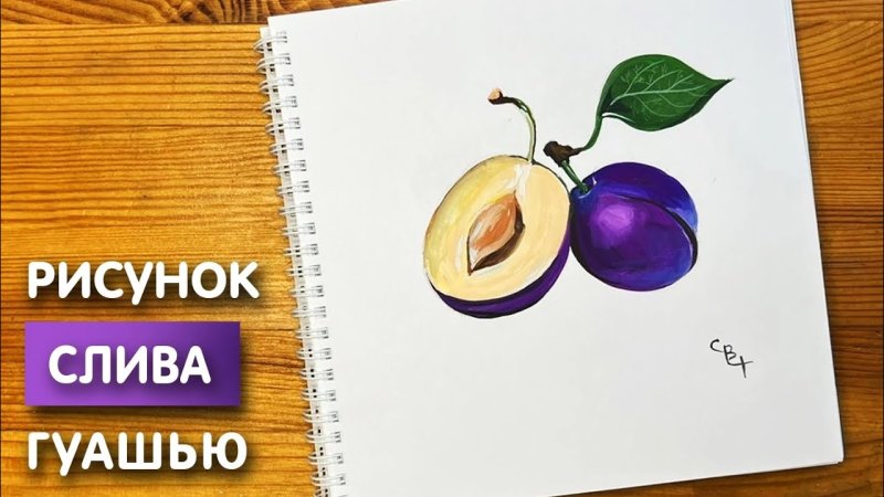 Как нарисовать сливу карандашом