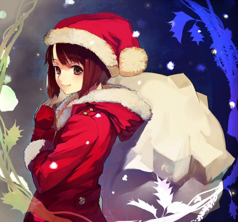 Новогодние аниме