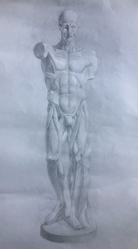 Экорше Гудона фигура