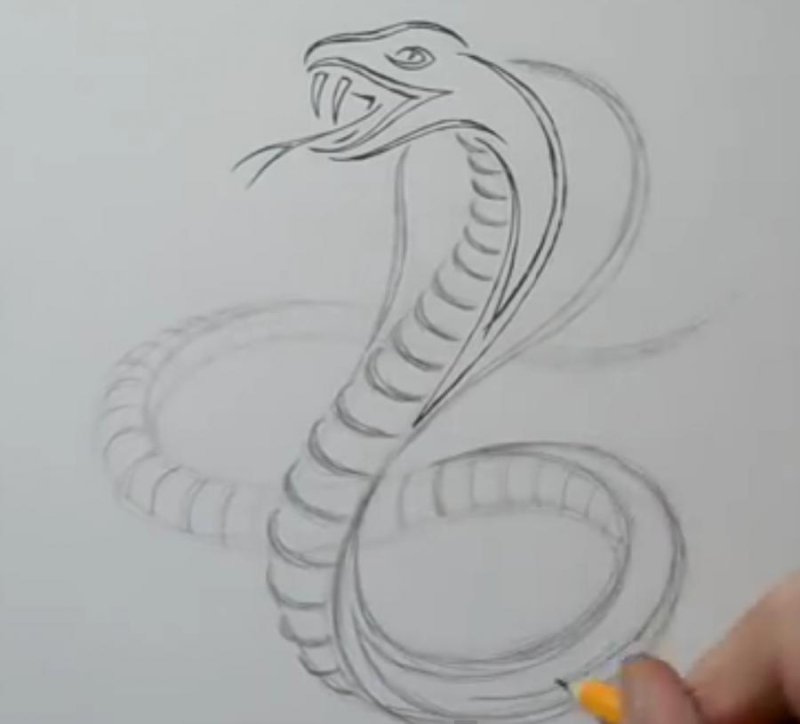 Рисунки для срисовки змея
