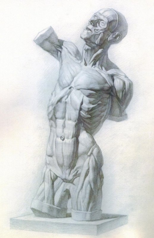 Экорше лучник Гудона
