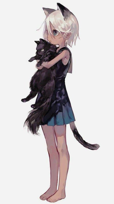 Аниме кошки