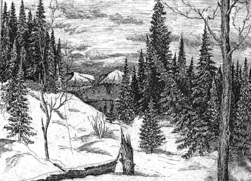 Рисунки природы карандашом для срисовки