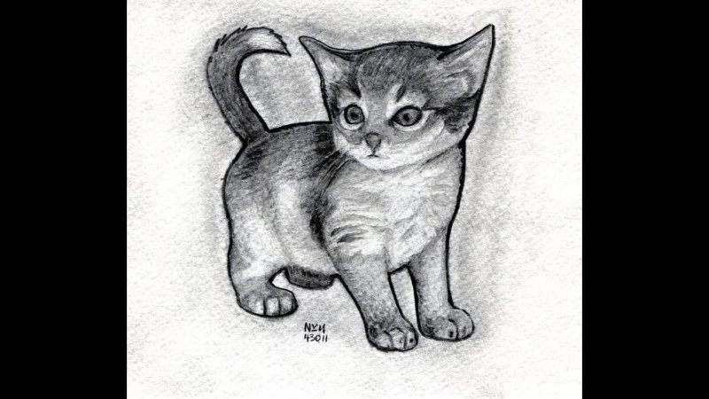 Рисунки котиков