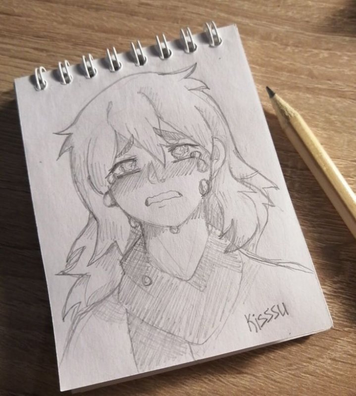 Рисунки kisssu