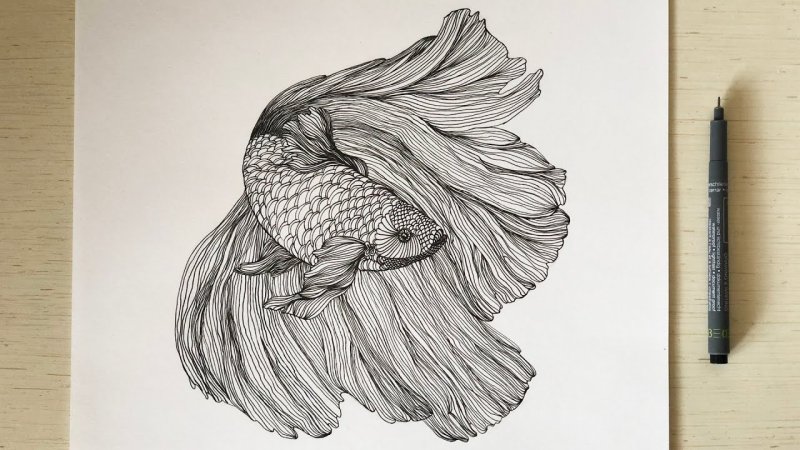 Красивые графические рисунки