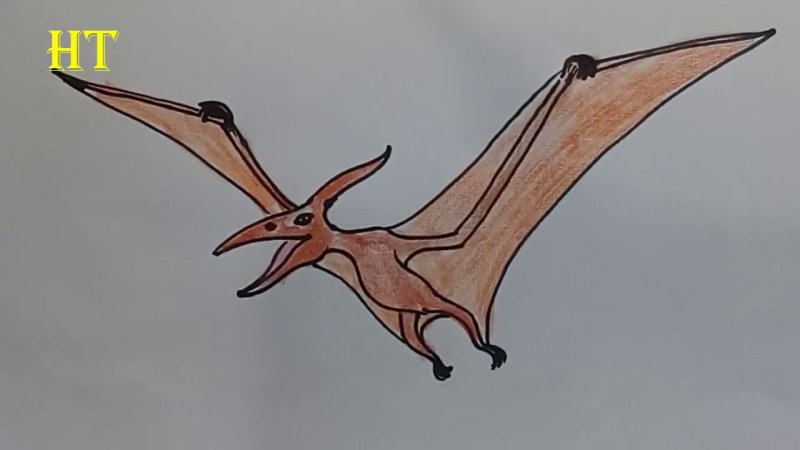 Птеродактиль рисунок карандашом