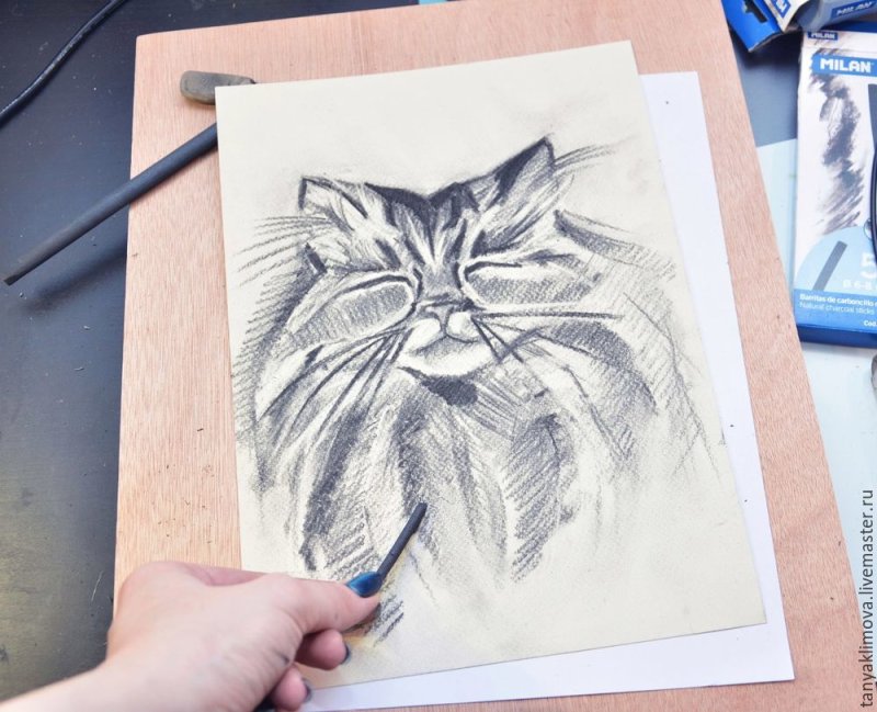 Рисунки углем