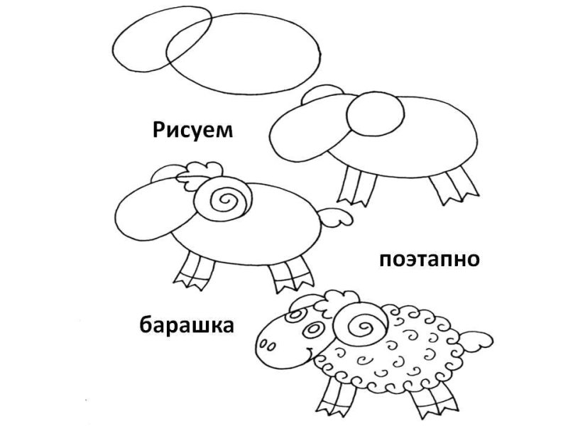 Барашек рисунок поэтапно