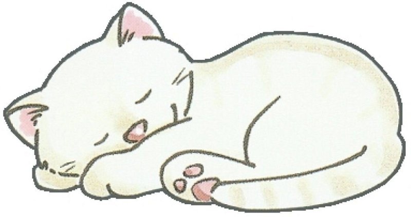 Кот спит