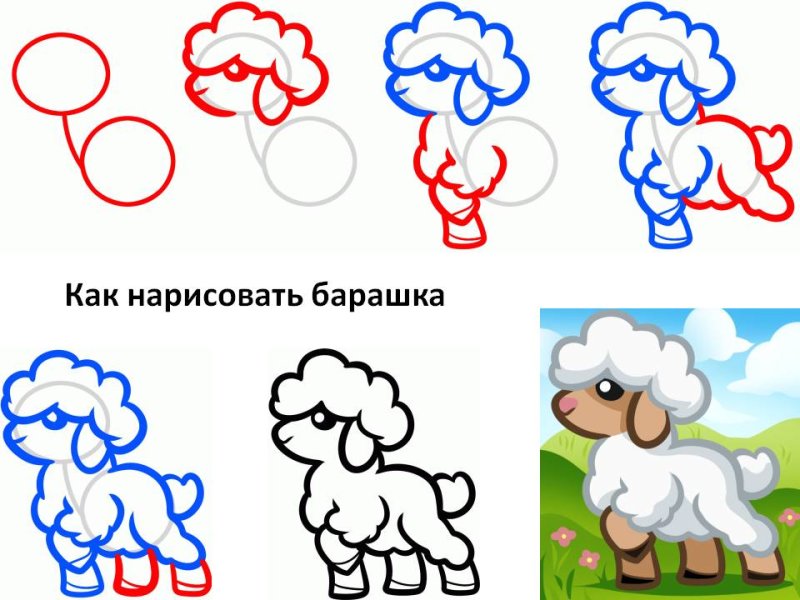 Как нарисовать овечку для детей поэтапно