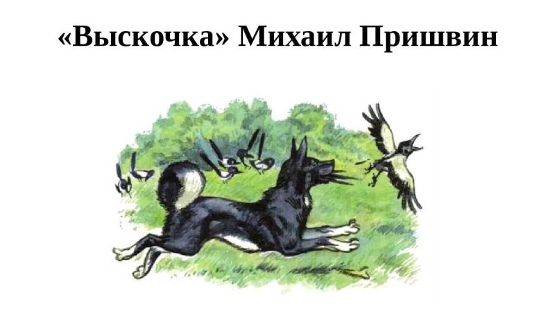 Михаил Михайлович пришвин выскочка рисунок
