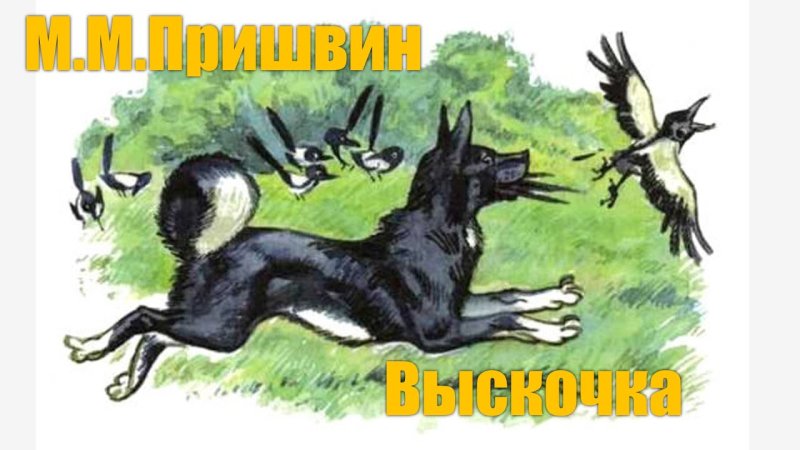 М.М. Пришвина «выскочка».