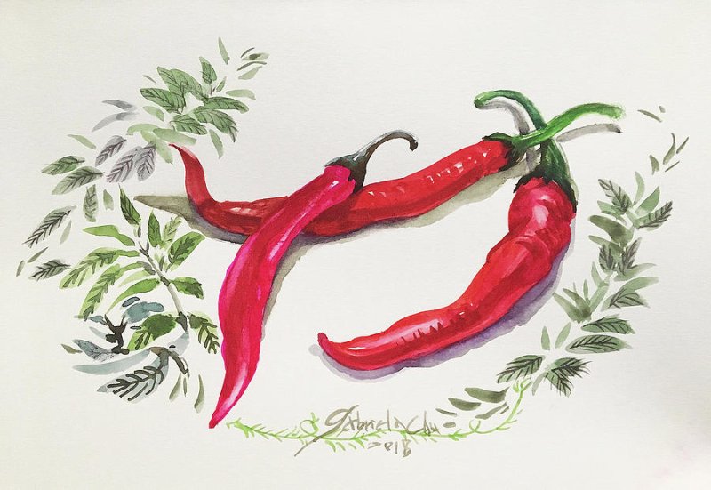 Перец Чили рисунок