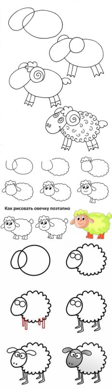 Как нарисовать овечку