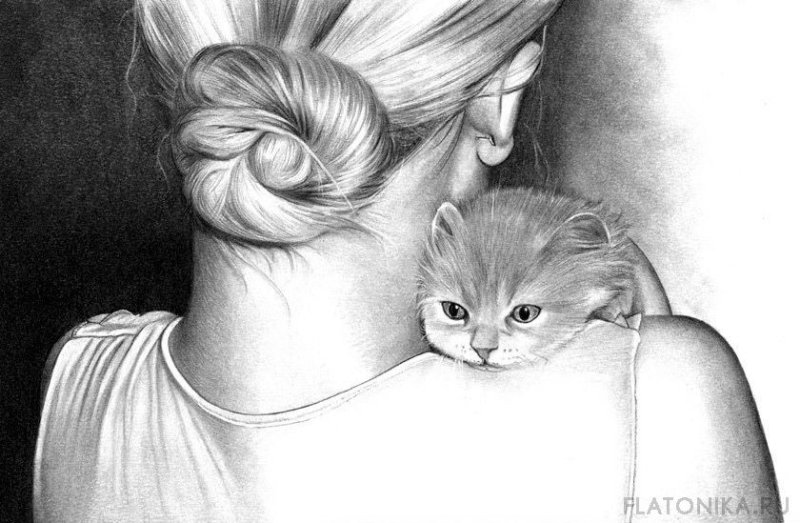 Кот карандашом