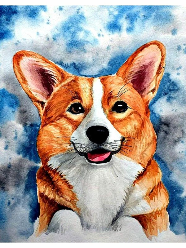 Корги пемброк арт
