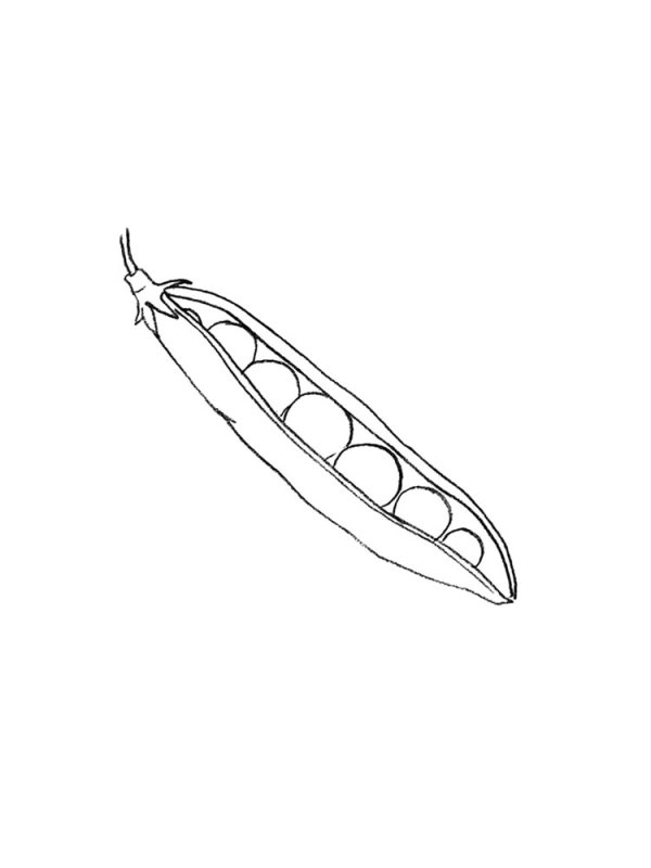 Горох раскраска для детей