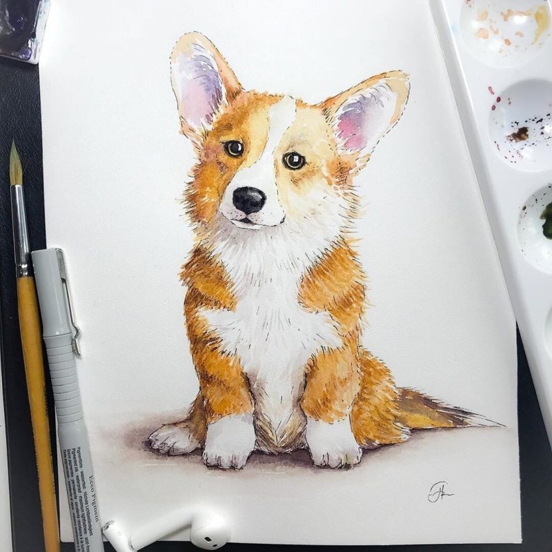 Корги скетчинг