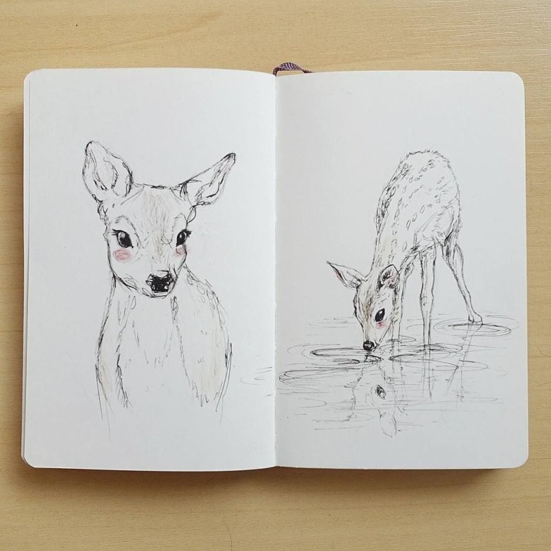 Рисунки для скатч бука