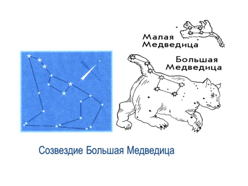 Созвездие малой медведицы схема по точкам