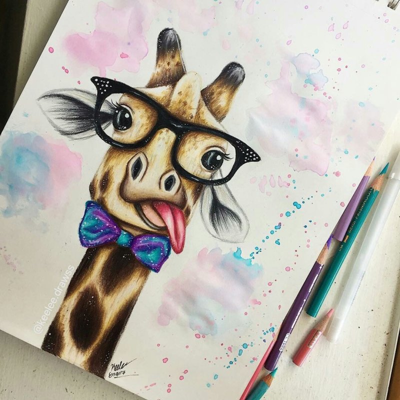 Идеи для рисунков животных