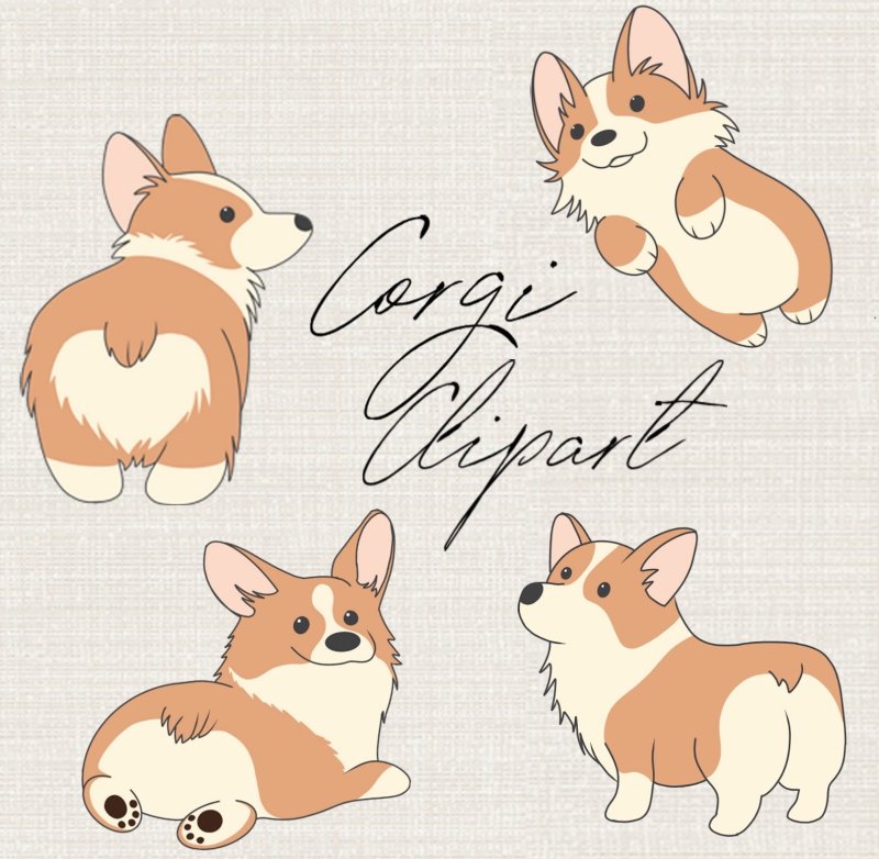 Вельш корги рисунок