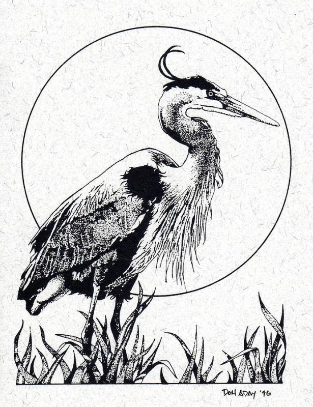 Цапля Графика