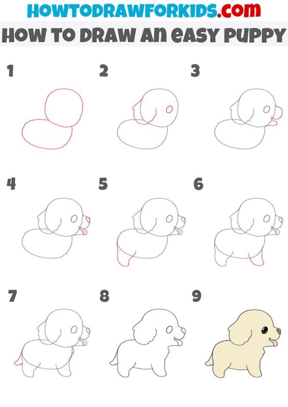 Поэтапное рисование щенка для детей