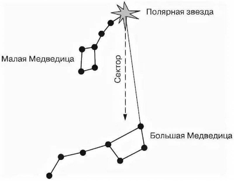 Созвездие малой медведицы схема