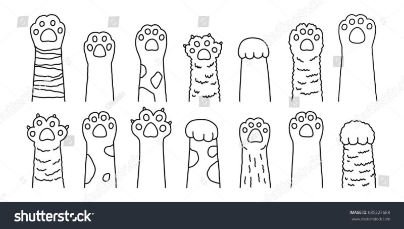 Лапка котика рисунок для срисовки