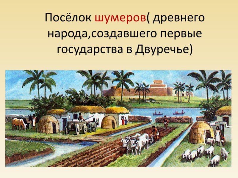 Поселок шумеров растительность