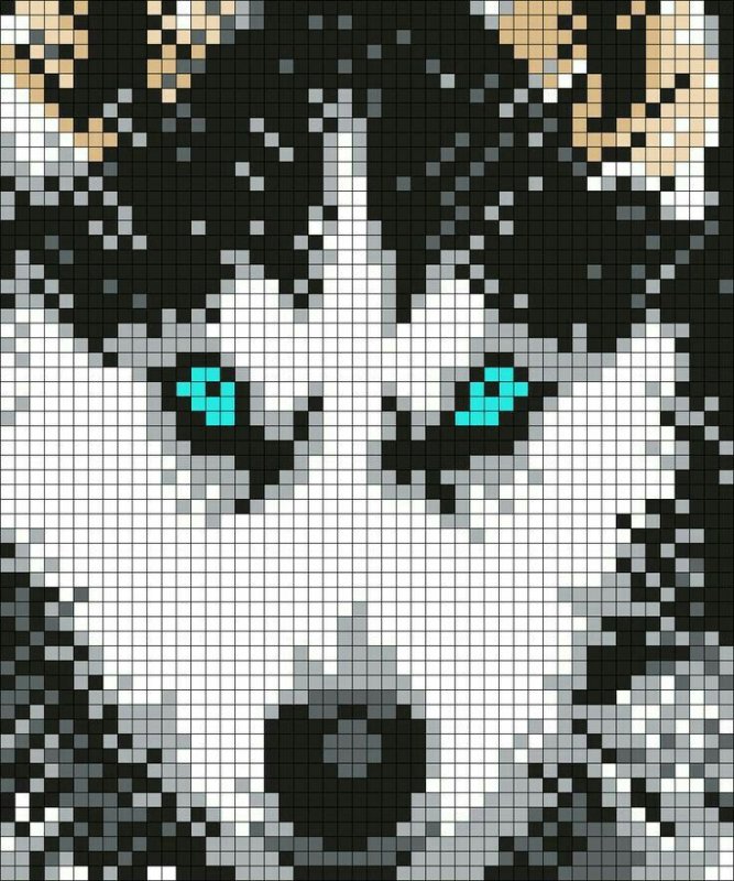 Рисунки по клеточкам хаски