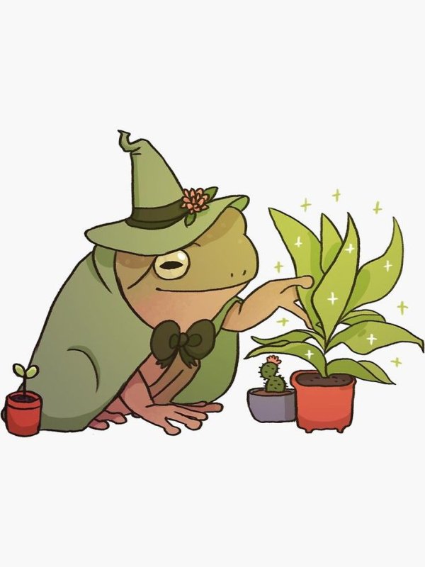 Лягушка в стиле Goblin Core