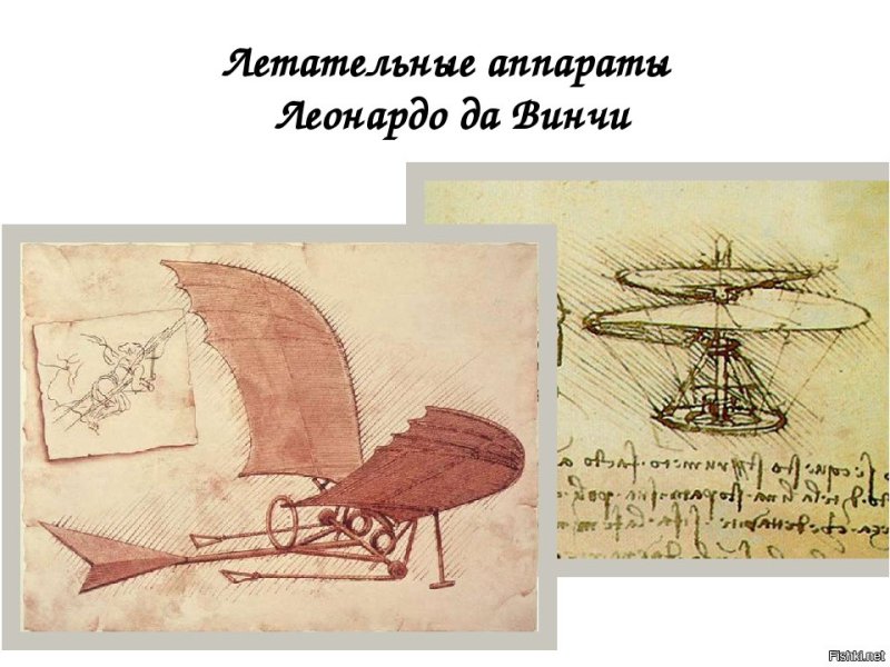 Орнитоптер Леонардо да Винчи