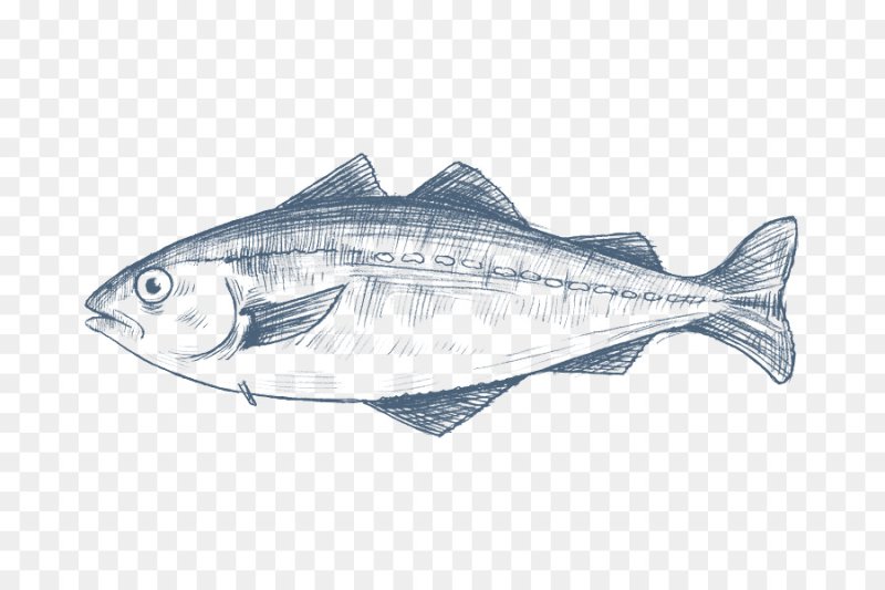 Треска вектор