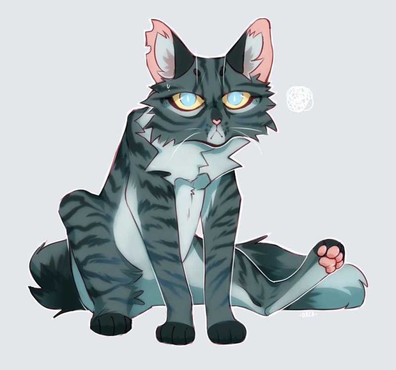 Jayfeather коты Воители