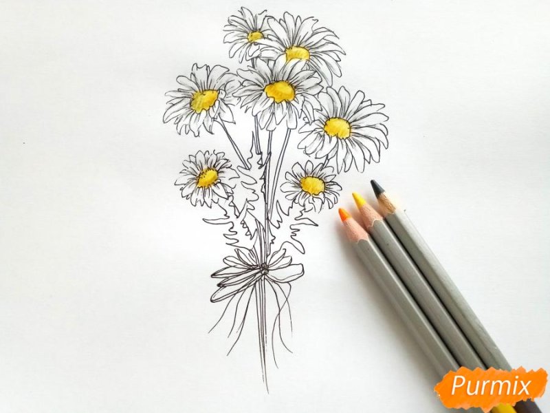 букет ромашек карандашом
