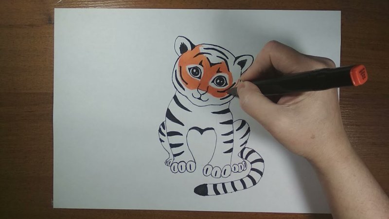 Нарисовать тигра легко