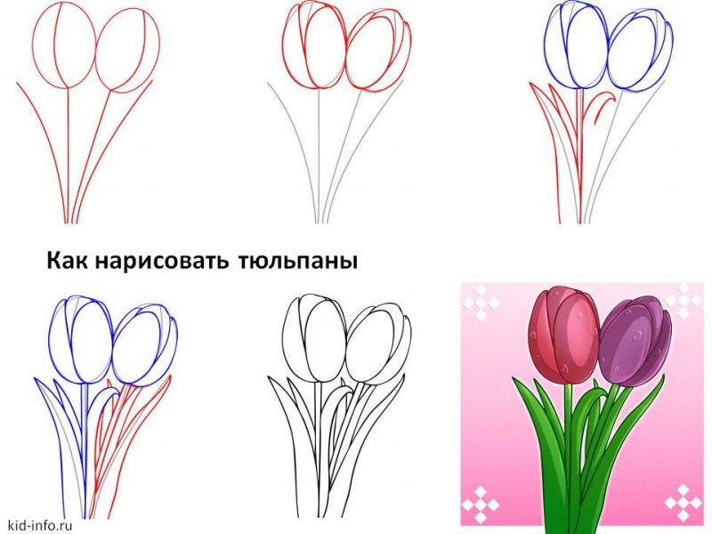 Уроки рисования цветы